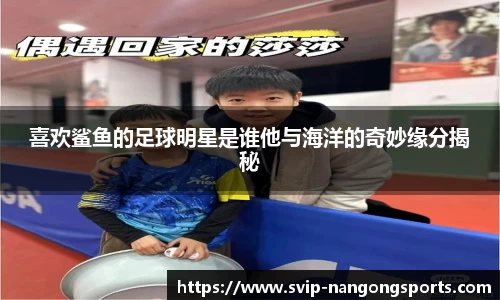 喜欢鲨鱼的足球明星是谁他与海洋的奇妙缘分揭秘